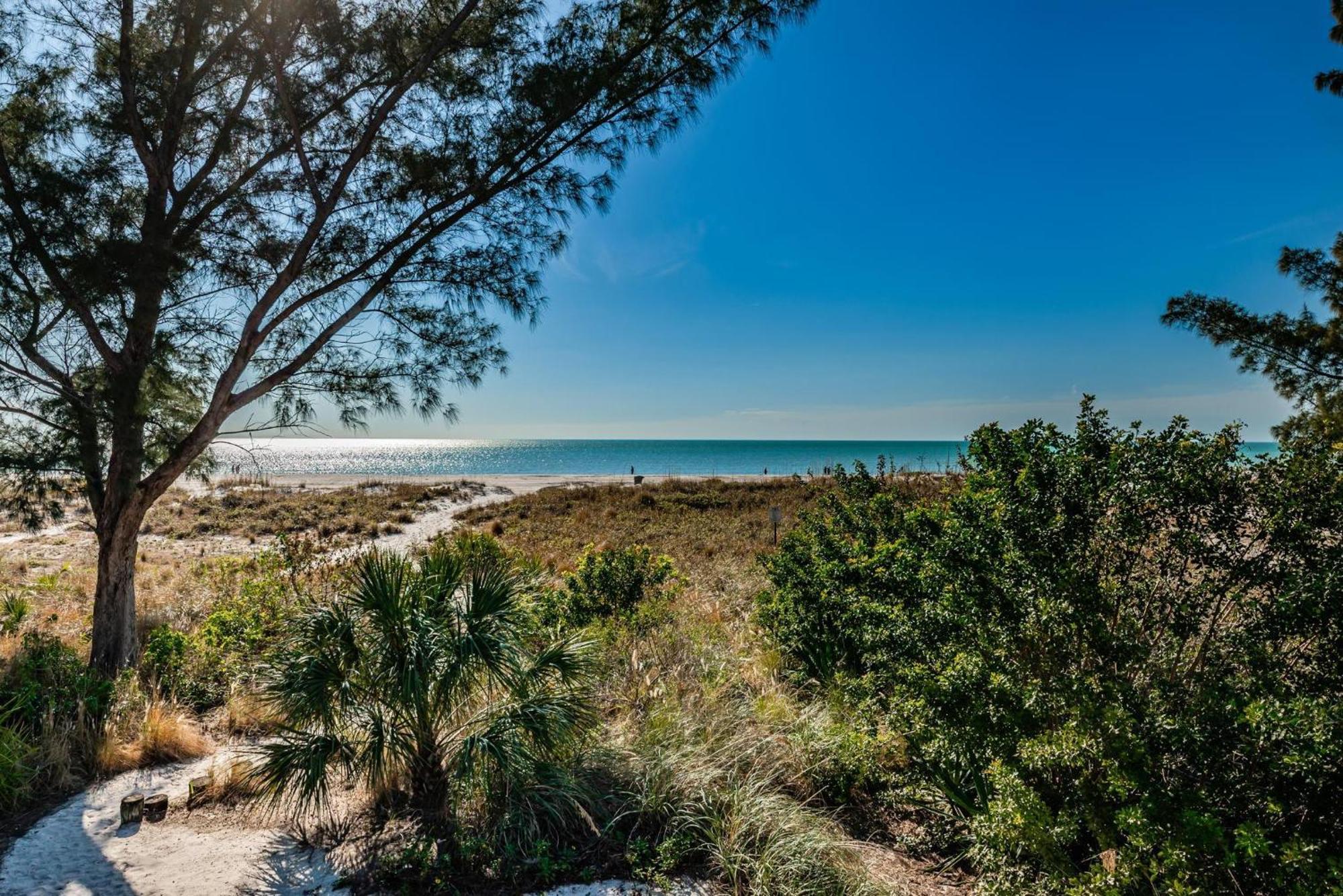 Turtleback Beach House Villa St. Pete Beach Exterior photo