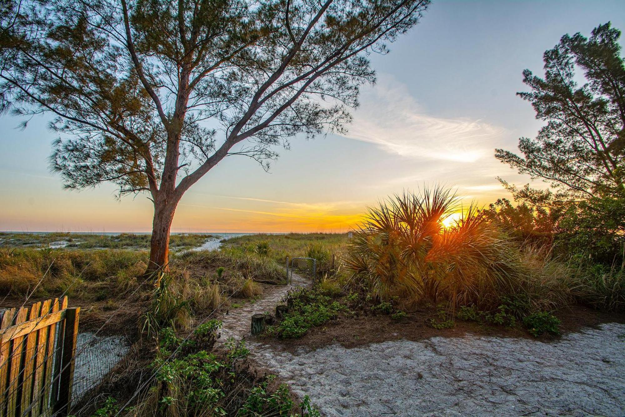 Turtleback Beach House Villa St. Pete Beach Exterior photo